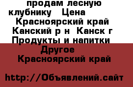 продам лесную клубнику › Цена ­ 1 300 - Красноярский край, Канский р-н, Канск г. Продукты и напитки » Другое   . Красноярский край